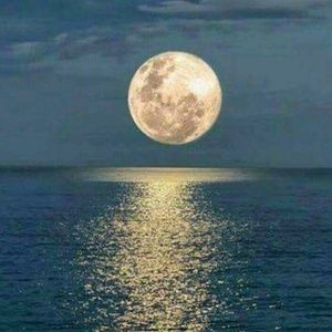 Meet your Posher, Ingrid